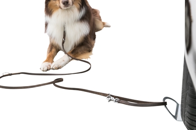 Trixie Oprijplaat Grijs 12x31 cm voor Honden