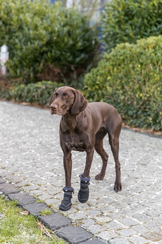 Trixie Pootbescherming Walker Active Long Zwart L-XL 2 st