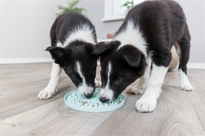 Trixie Junior Likplaat Mintgroen 21x21 cm voor puppy's