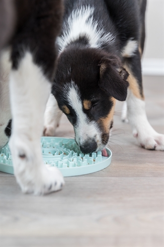 Trixie Junior Likplaat Mintgroen 21x21 cm voor puppy's