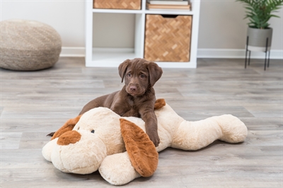 Trixie Knuffelhond Benny Pluche 75 cm Beige/Bruin