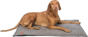 Trixie Be Nordic Honden Ligmat Föhr 100x70 cm Donkergrijs