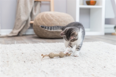 Trixie Halter Karton/Hennep Beige 20 cm - Kattenspeelgoed 4 st