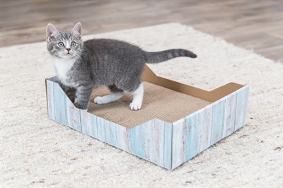 Trixie Krabmand Karton Catnip 45x33x12 cm Turquoise