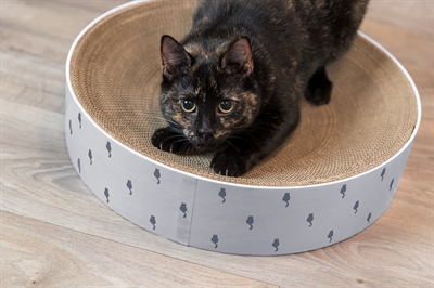 Trixie Krabmand Lilly Karton Catnip 45x45x10 cm Lichtgrijs