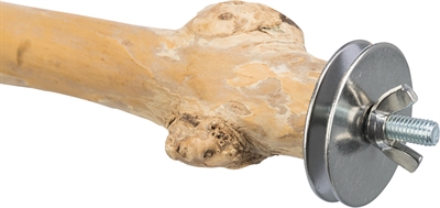 Trixie Zitstok Koffiehout 20 cm met Schroefbevestiging