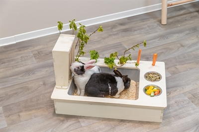 Trixie Voederstation Hout 70x47x41 cm met Bakken voor Knaagdieren