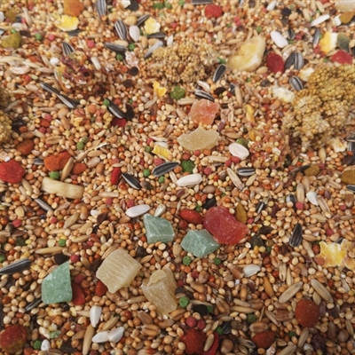 Hareco Pyrrhura Select Zonder Pellets 3 KG