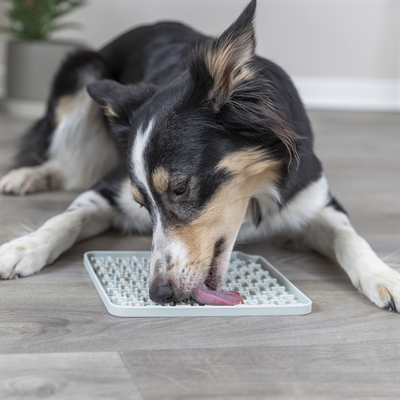 Trixie Lick'n'snack Mat Siliconen 20x20 cm Donkergrijs