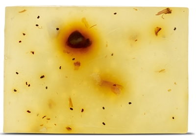 Beloved Vegan Hondenshampoo Bar 110 GR