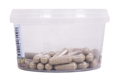Dierendrogist Echinacea Bio Capsules 50 ST voor honden en katten