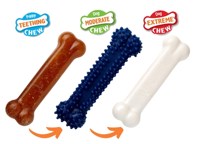 Nylabone Puppy Chew Starter Kit Chicken tot 11 kg