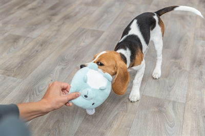 Trixie Pluche Beer Mintgroen 14 cm voor Puppy 3 st