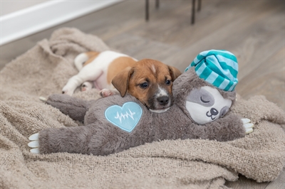 Trixie Pluche Luiaard met Hartslag voor Puppy 34 cm