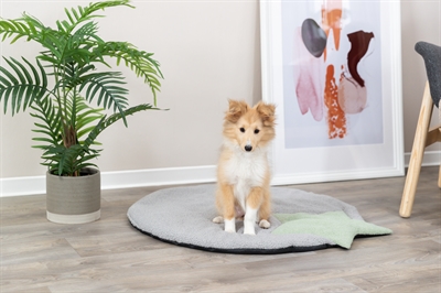 Trixie Puppy Ligmat Ster Grijs/Mintgroen 86x80 cm — Comfortabele rustplek voor je pup