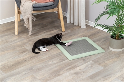 Trixie Kitten Krabmat Mintgroen 47x47 cm met speeltje