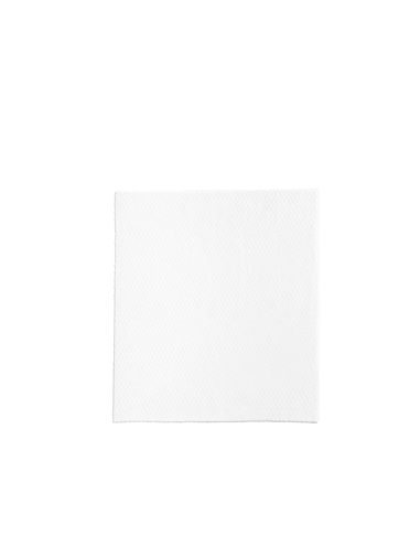 Earth Rated Dog Wipes Geurloos 100 st 20,5x20,5 CM Composteerbaar