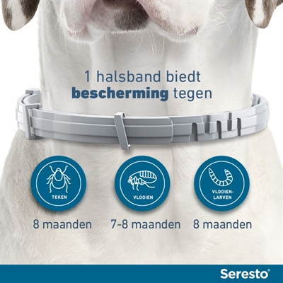 Bayer Seresto Teken- en Vlooienband Hond L 2 st 70 cm vanaf 8 kg