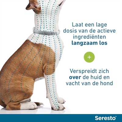 Bayer Seresto Teken- en Vlooienband Hond L 2 st 70 cm vanaf 8 kg