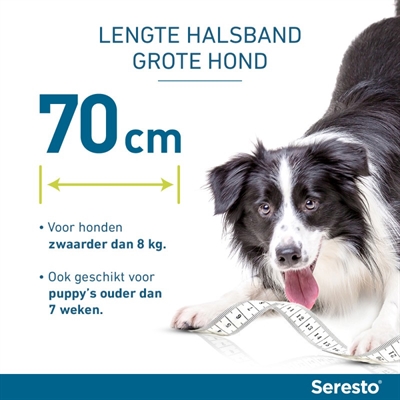 Bayer Seresto Teken- en Vlooienband Hond L 2 st 70 cm vanaf 8 kg
