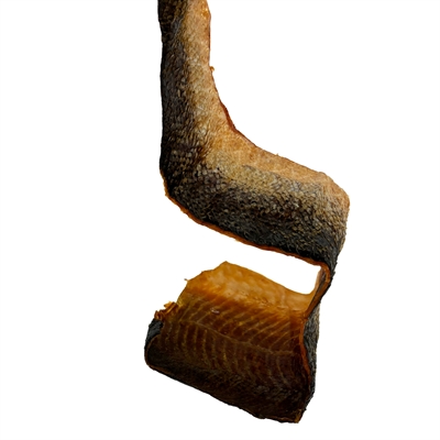 Petsnack Zalmhuid Hondensnack 170g