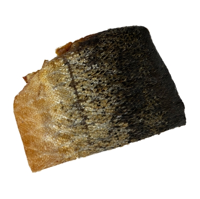 Petsnack Zalmhuid Hondensnack 170g