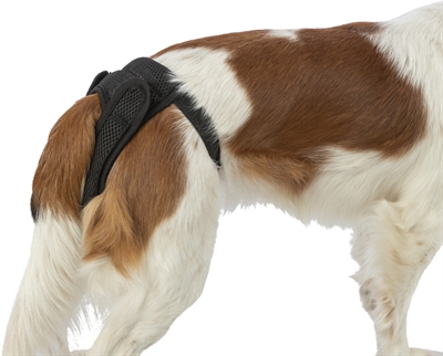Trixie Beschermbroekje Loopse Teef 40-50 cm Zwart