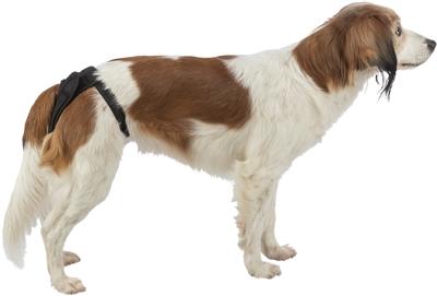 Trixie Beschermbroekje Loopse Teef 40-50 cm Zwart