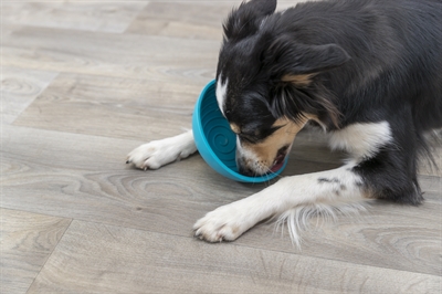 Trixie Lick'n'snack Hondenvoerbak Silicone 16 cm