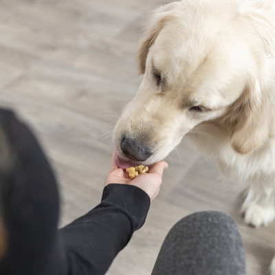 Trixie Bakmat Met Botjes Voor Hond 38x28 cm Silicone