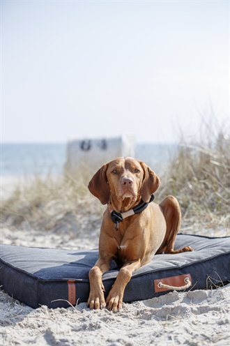 Trixie Be Nordic Hondenmatras Fohr Zwart 80x55 cm — Comfortabele plek voor je hond