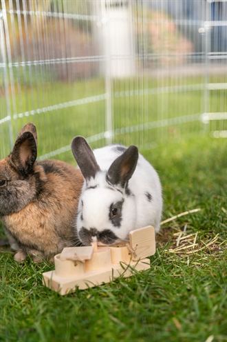 Trixie Snack Cups Hout voor Ratten en Konijnen 15x4,5x6 cm