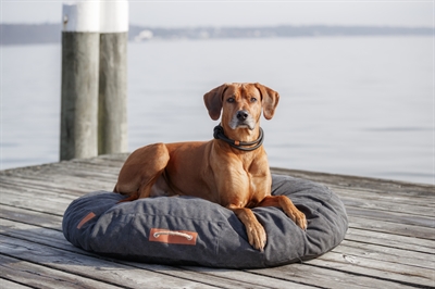 Trixie Be Nordic Hondenkussen Fohr Ovaal Zwart 80x60 cm — Comfortabele plek voor jouw hond