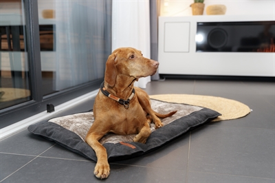 Trixie Be Nordic Hondenkussen Fohr 90x70 cm — Comfortabele ligplek voor jouw hond