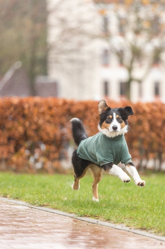 Trixie Hondentrui Sweatshirt Amsterdam Saliegroen 40 cm