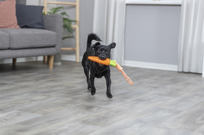 Trixie Hondenspeelgoed Wortel Aan Koord TPR 20x39 cm 3 st