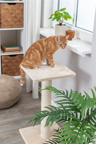 Trixie Krabpaal Baena Beige 69 cm met sisal