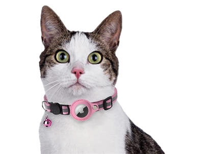 Croci Kattenhalsband Roze met Tag Houder 19-26x1,5 CM