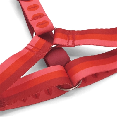 Morso Hondentuig H-tuig Gerecycled Roze 40-55x1,5 CM