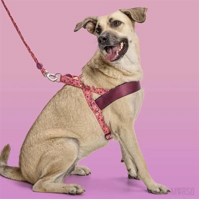 Morso Hondentuig Gerecycled Pink Think 80-110x66 CM