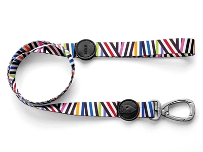 Morso Hondenriem Gerecycled Spaghetti Incident 120x1,5 CM 6-20 KG