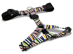 Morso Hondentuig H-tuig Gerecycled Spaghetti Incident 40-55×1,5 CM