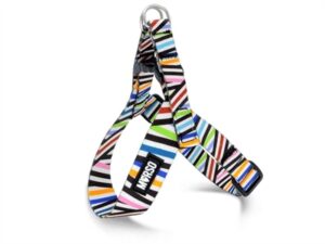 Morso Mini Hondentuig Verstelbaar 32-41x2,5 cm Gerecycled