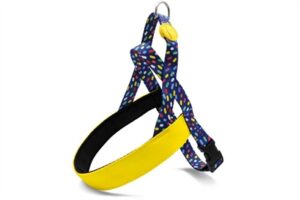 Morso Hondentuig Gerecycled Color Invaders Paars 54-70x52 cm