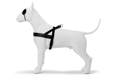 Morso Norwegian Hondentuig Gerecycled Gold Caviar Goud 41-56x38 CM