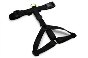 Morso Hondentuig H-tuig Goud 60-80x2,5 cm Gerecycled