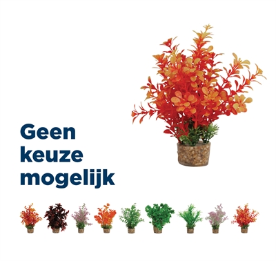 Zolux Ornament Pastic Plant Op Stenen Vrolijk Assorti 20x10x10 CM