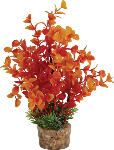 Zolux Ornament Kunstplant Op Stenen 20x10x10 CM Assorti