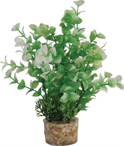 Zolux Ornament Kunstplant Op Stenen 20x10x10 CM Assorti