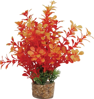 Zolux Ornament Kunstplant Op Stenen 20x10x10 CM Assorti